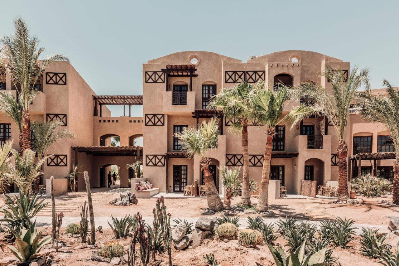 Cook'S Club El Gouna (Adults Only) Хургада Екстериор снимка